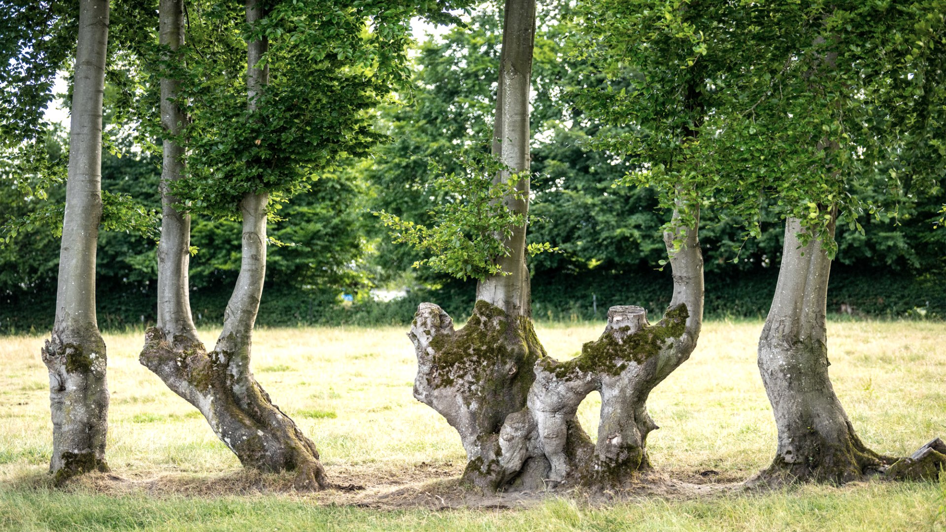Konzen-Eifelblick Auf der Hohe, &copy; Eifel Tourismus GmbH/Dominik Ketz